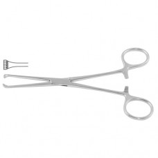 Boys-Allis Intestinal and Tissue Grasping Forceps 5 x 6 Teeth Stainless Steel, 15.5 cm - 6"